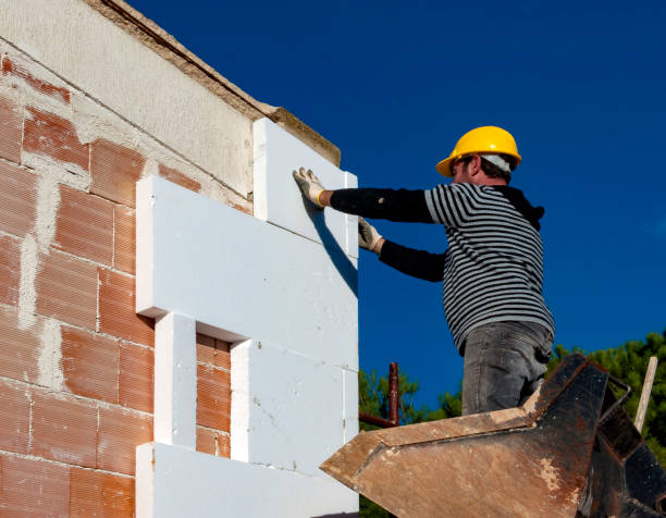 Best Insulation Maintenance and Repair in Richmond, IL