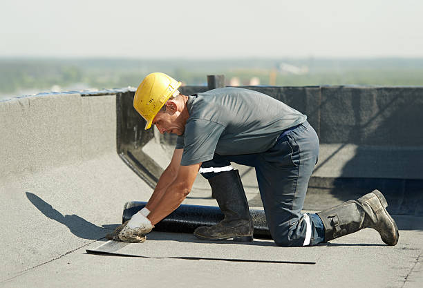Best DIY Insulation Kits and Guidance in Richmond, IL