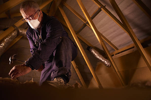 Best Insulation Maintenance and Repair in Richmond, IL